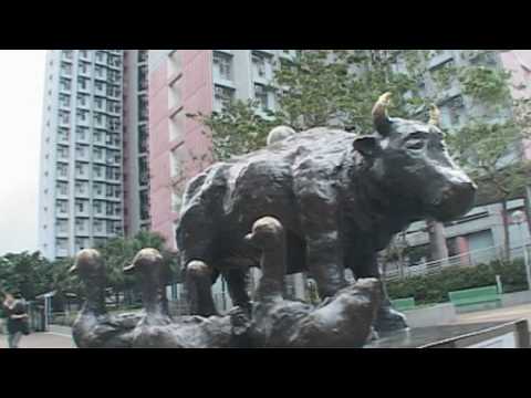 See video