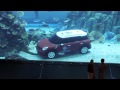 Una mini in un acquario per il mini drive out loud