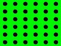 LIFE IS NOTHING: THIS IS MY LIFE by FLAVIO SCIOLE'(2007)