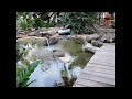 GoldFish2 HD GoldFish2 HD