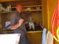 Caniche video