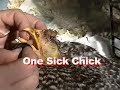 britany   one sick chick