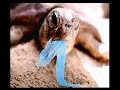NO USAR BOLSAS DE PLASTICO NO USAR BOLSAS DE PLASTICO