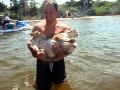 Traveler the English Bulldog is a water baby...she likes to swim!