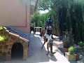 clubmoterosdesordosvalencia
