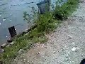 Puti  pesca una trota al laghetto