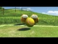 oiseau tennis nbsp;  nbsp;Google nbsp;Vidéos2