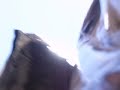 bajo falda 2