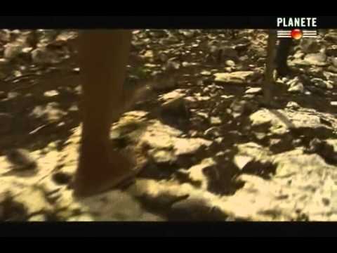 Image de prévisualisation YouTube