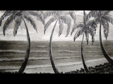 how to draw a palm tree