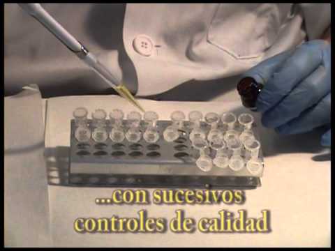 Ver video
