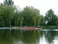 Drakenbootrace Gorinchem