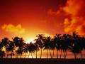 CHILL TECHNO TRANCE - TIME IS A HEALER