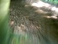 singletrail fahren