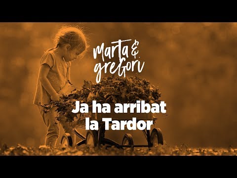 Imatge de previsualització de YouTube