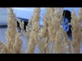 Видеообзор Canon EF-S 17-85mm f/4-5.6 IS USM