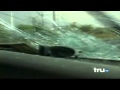 Reed Timmer TVN on World's Dumbest