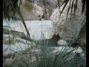 Ein Gedi Ein Gedi
