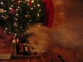 Niles preparing for Christmas Niles preparing for Christmas