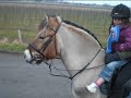 Junior&Mosje