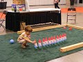 Gnome Bowling at Denvention3 Gnome Bowling at Denvention3