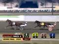 videos de Breeders Crown 3FT