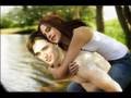 Twilight movie posters and pics #4