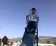 jackass apan
