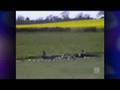 RC Planes Attack