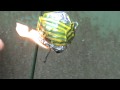 fire bomb