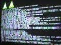 MOV00017 MOV00017