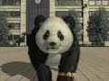 tekken 3 Panda  www.team-uripa.tk