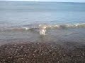 Dennis gets hit by wave