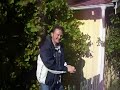 2009-09-12- Svéd szölö ( vindruvor i Sverige)