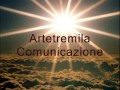 Arte in Torre