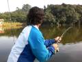 Carpa cabeçuda , grandes escapadas