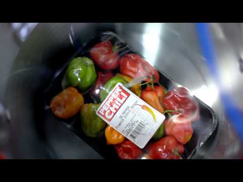 how to harvest scotch bonnet peppers