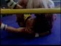 Hulk Hogan vs The Rock