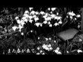 �ǲ�ֲƤβ�²�� ͽ����.:YouTube������=11��