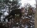 venv apeldoorn filmpje.wmv