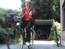 deus-sister-dew-cover-by-pitada72.html