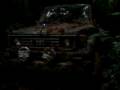 videos de MVI_4905.avi