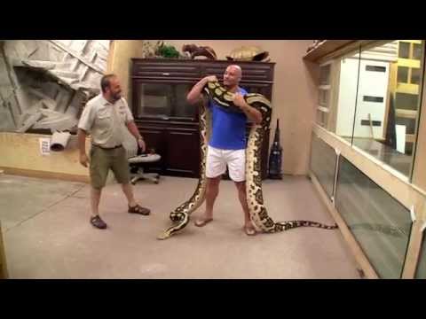 YouTube reptile video