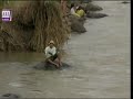 Koes Plus - Ojo Podo Nelongso