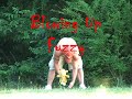 Thumbnail #1