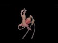 Pink Floyd - Flower Animation Pink Floyd - Flower Animation