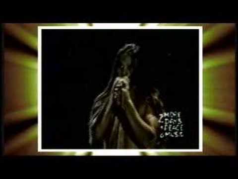 Red Hot Chili Peppers - Under The ...