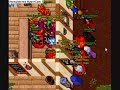 tibia pk isara tibia pk isara