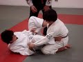 clipe de treino