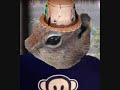 Tery the chipmunk Rainy Day